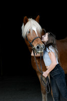 Equine Portraits