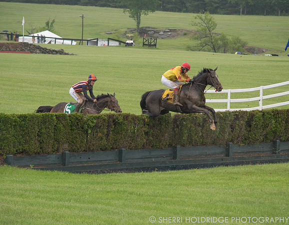Gold Cup 2017-91 - Copy (2)