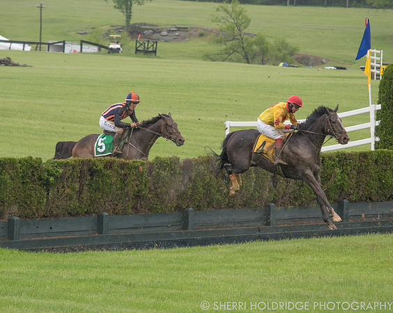 Gold Cup 2017-92 - Copy