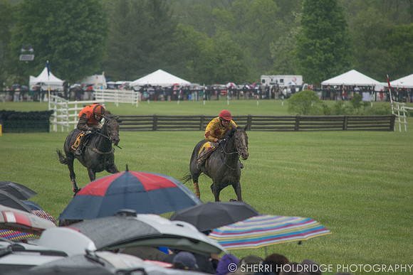 Gold Cup 2017-97 - Copy (2)