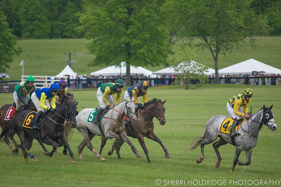 Gold Cup 2017-133 - Copy