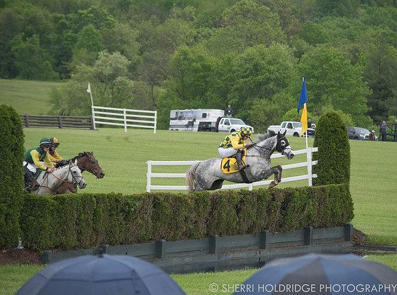 Gold Cup 2017-135 - Copy