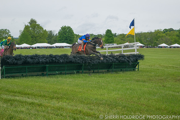 Gold Cup 2017-209