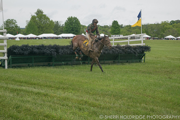 Gold Cup 2017-213