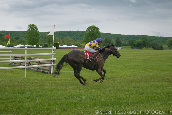 Gold Cup 2017-215