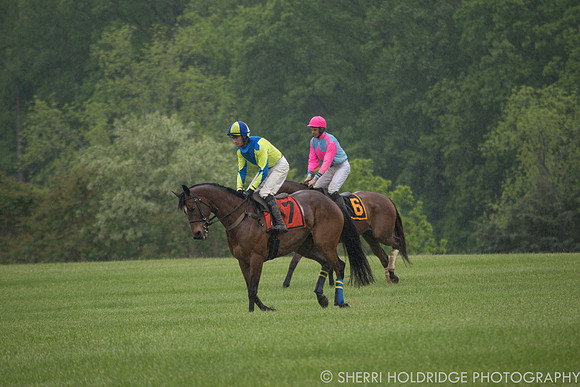 Gold Cup 2017-309