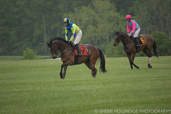Gold Cup 2017-311