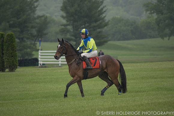 Gold Cup 2017-312