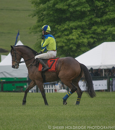 Gold Cup 2017-314