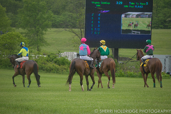 Gold Cup 2017-318