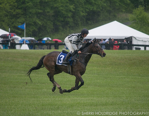 Gold Cup 2017-331