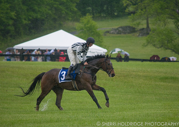 Gold Cup 2017-332