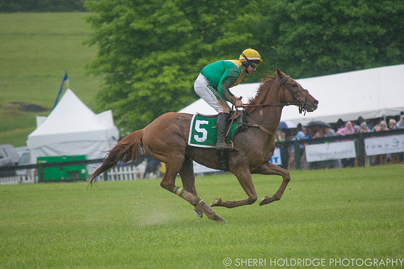 Gold Cup 2017-336