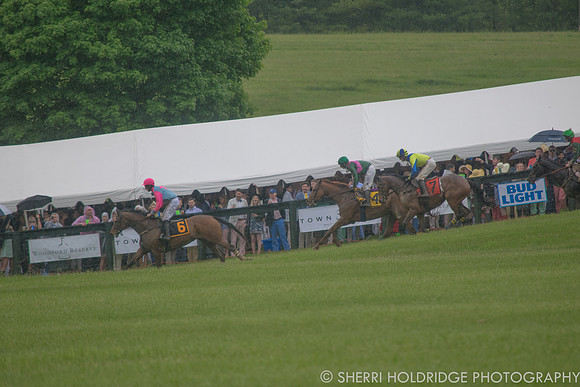 Gold Cup 2017-340