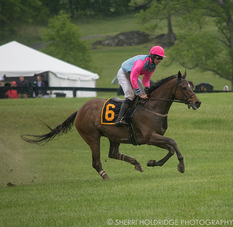 Gold Cup 2017-342