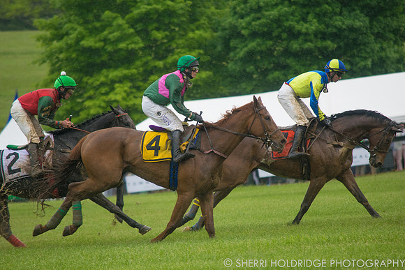 Gold Cup 2017-343