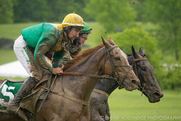 Gold Cup 2017-363