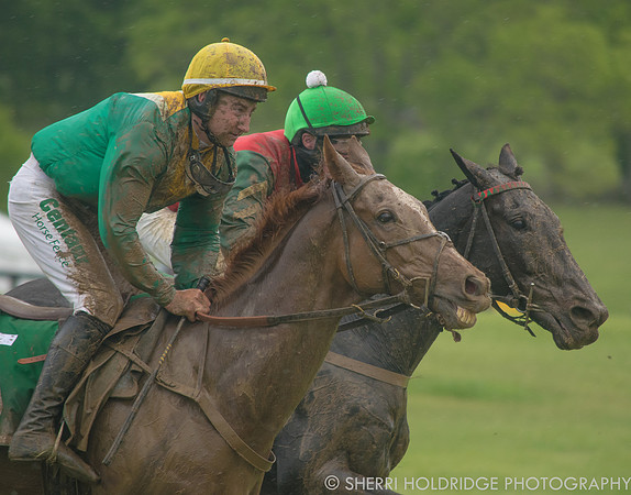 Gold Cup 2017-362